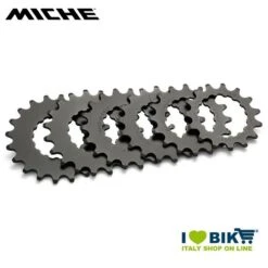 Miche Pignoni EBike Per Bosch