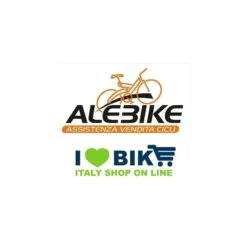 Servizio Di Modifica Ruota Posteriore Officina Ilovebike Ale Bike