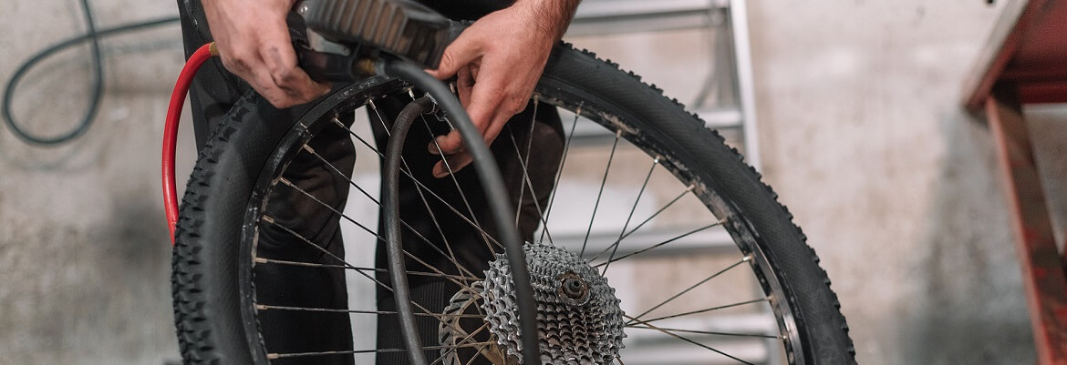 Knog Italia -Knog Italia banner657